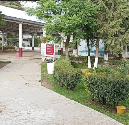 Segunda imagen de Centro de Acopio